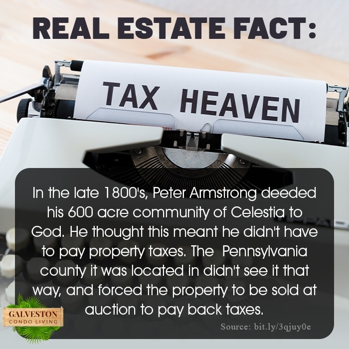 Tax Heaven Fun Fact