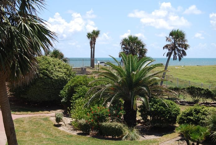 Photo of landscaping and Gulf in distance from Maravilla Condominiums